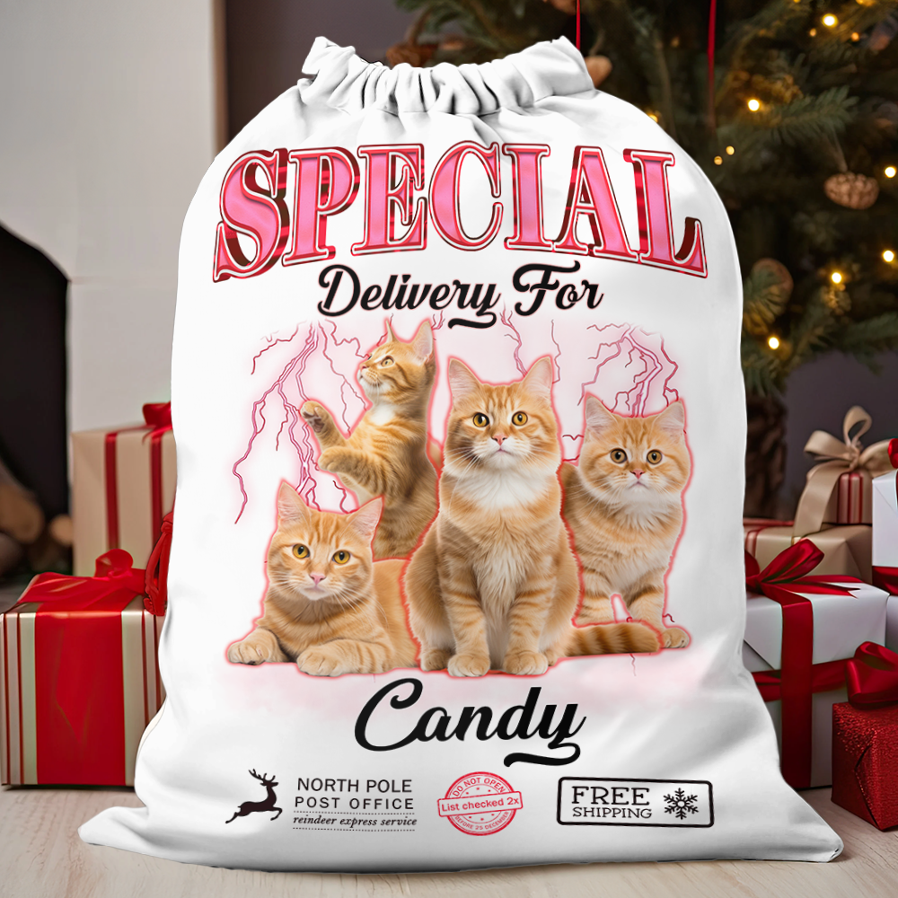 Personalized Christmas Special Delivery Bag - Custom Photo Christmas Present Sack - Christmas Bag Gift